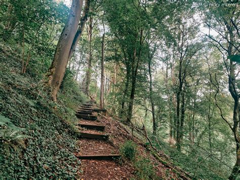 De rotsen van Sy (originele wandelingen)